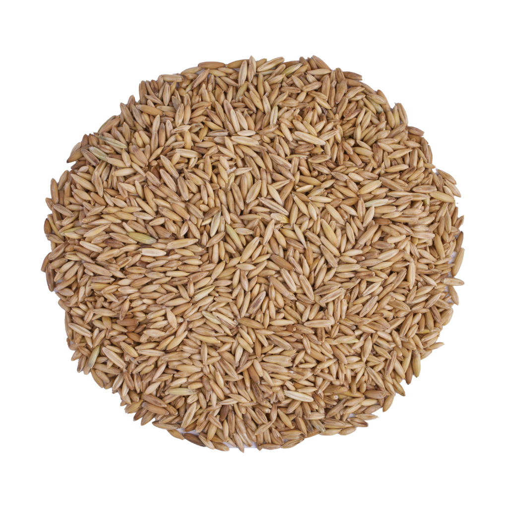 20 8300 Organic Barley