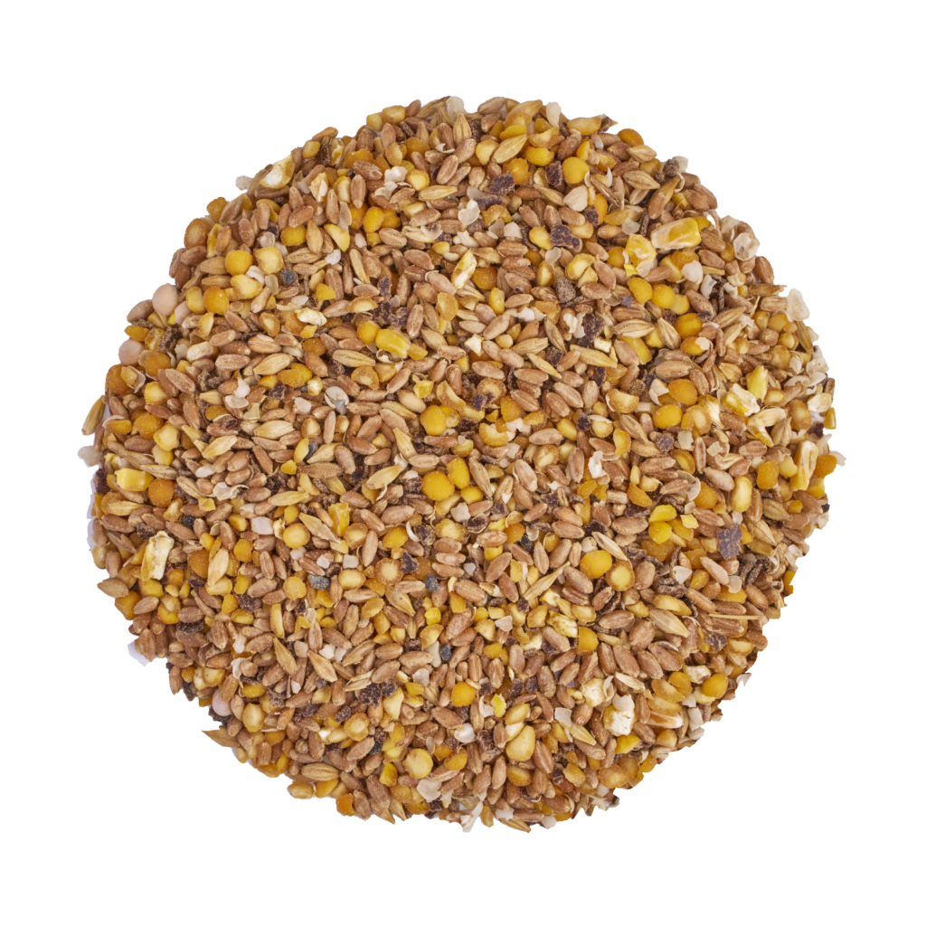 24 3001 Organic Turkey Feed