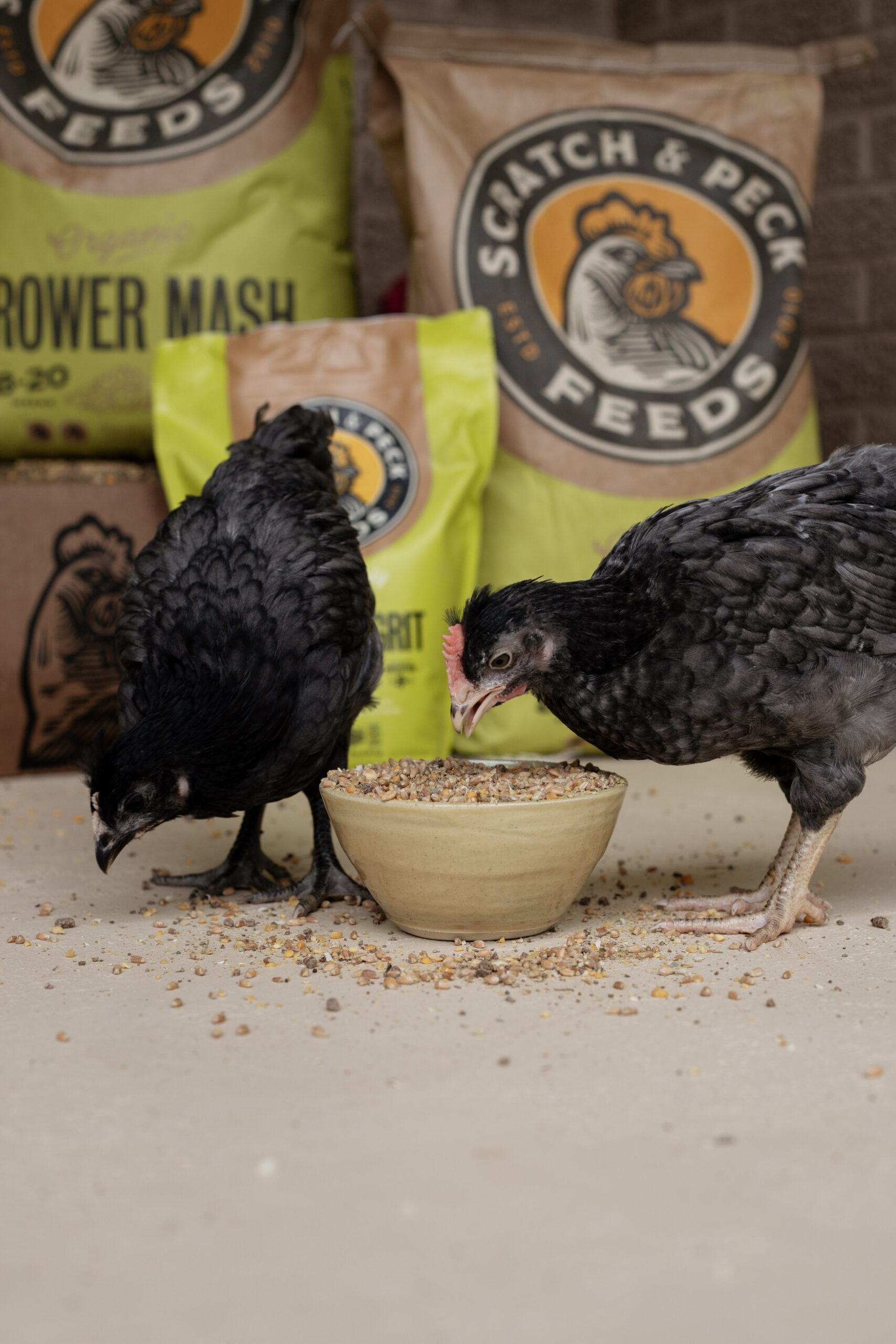 Grower Mash Bundle - Scratch & Peck Feeds Grower Mash Bundle - Image 4