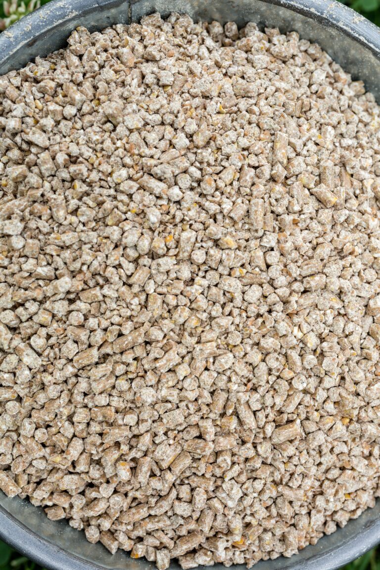 Organic Layer Crumbles 16 Scratch & Peck Feeds