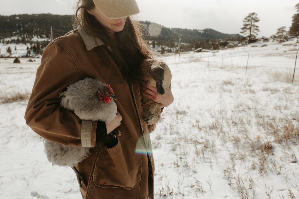 A woman stands in a snowy field looking down at the chicken and duck she holds in each arm.