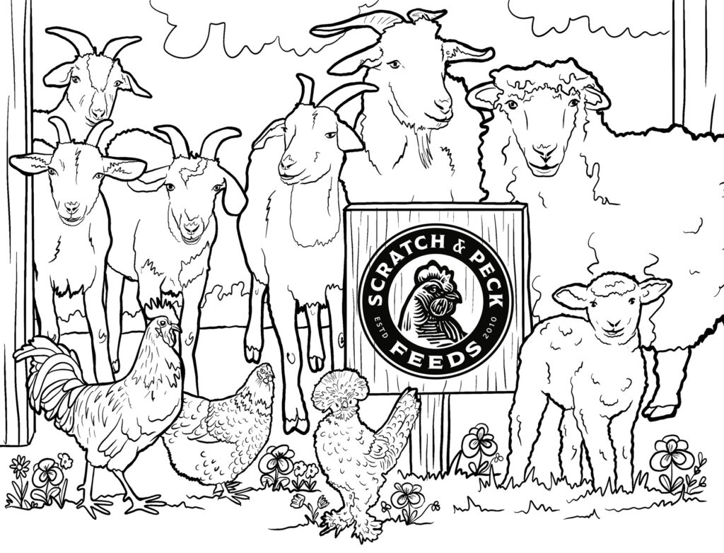 SPColoringSheet Summer