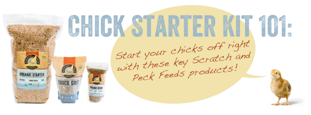 Chick Kit Blog Header