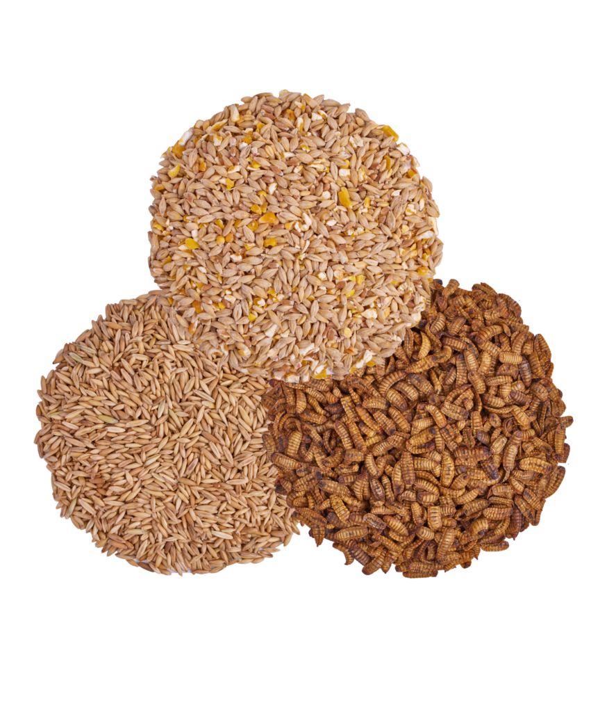 Cold Weather Snack Pack Piles