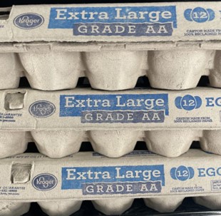 Photo of a grey egg carton that says extra large grade AA