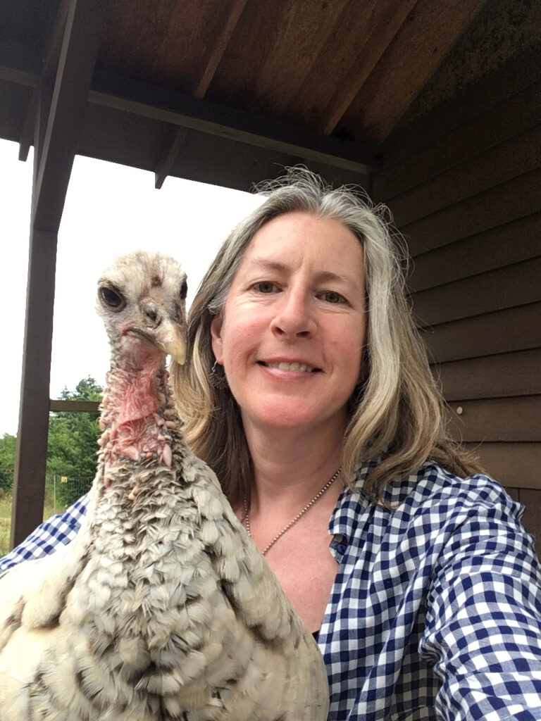 Adding pullets to your flock scratch peck feeds