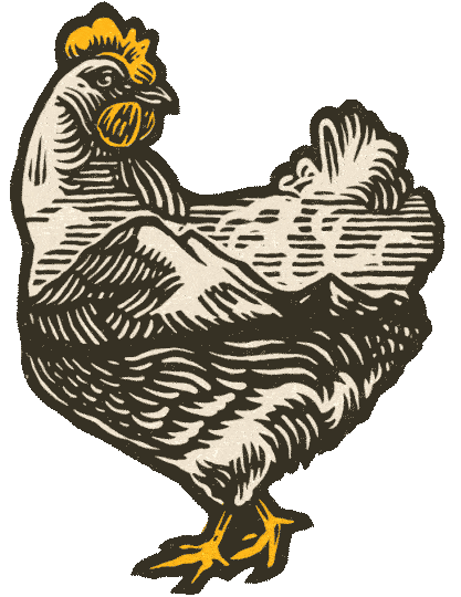Home - Scratch & Peck Feeds Animated Illustration of Mona the chicken