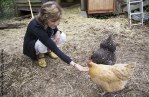 Scratch and Peck Feeds Animal Welfare Approved