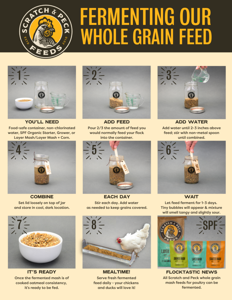 Fermenting Our Whole Grain Feed PNG