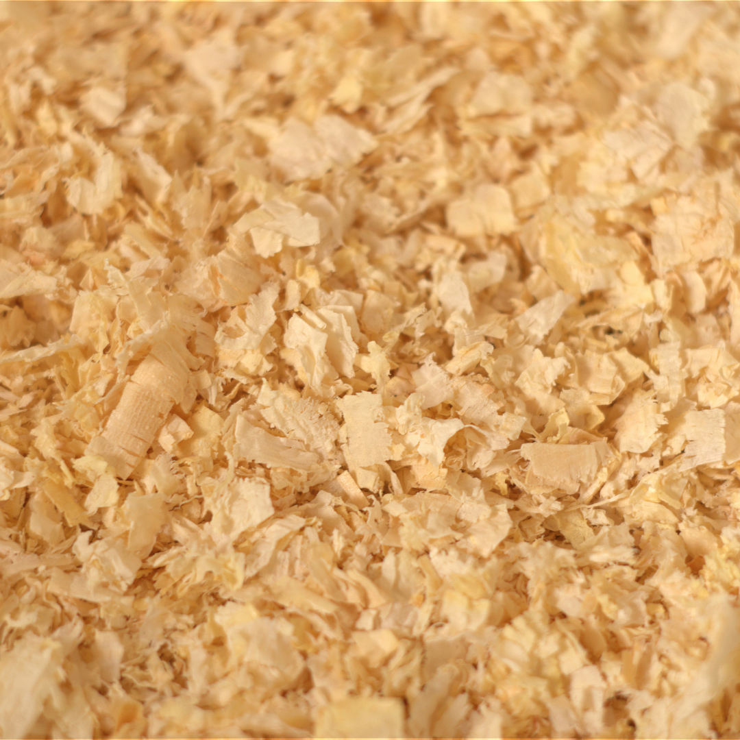 Pine Shavings