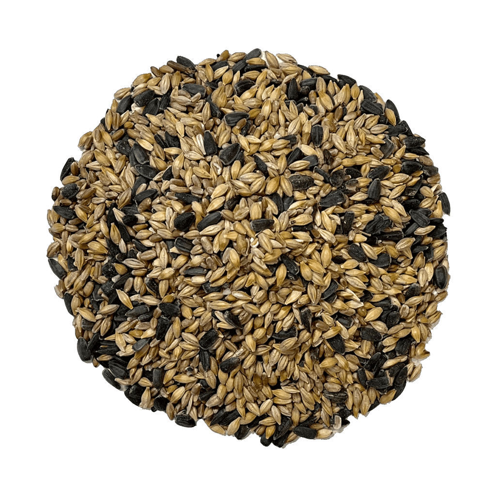 Organic Scratch + Seeds - Image 5