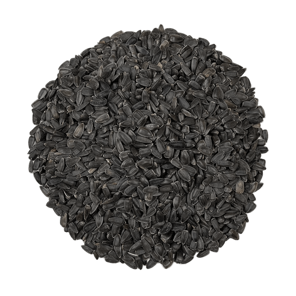 Organic Black Oil Sunflower Seeds - Image 5