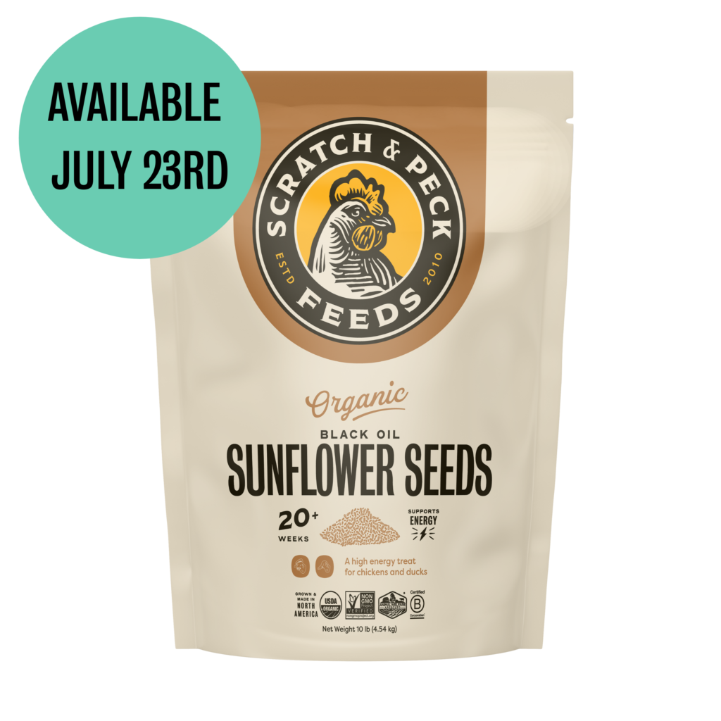 Organic Black Oil Sunflower Seeds