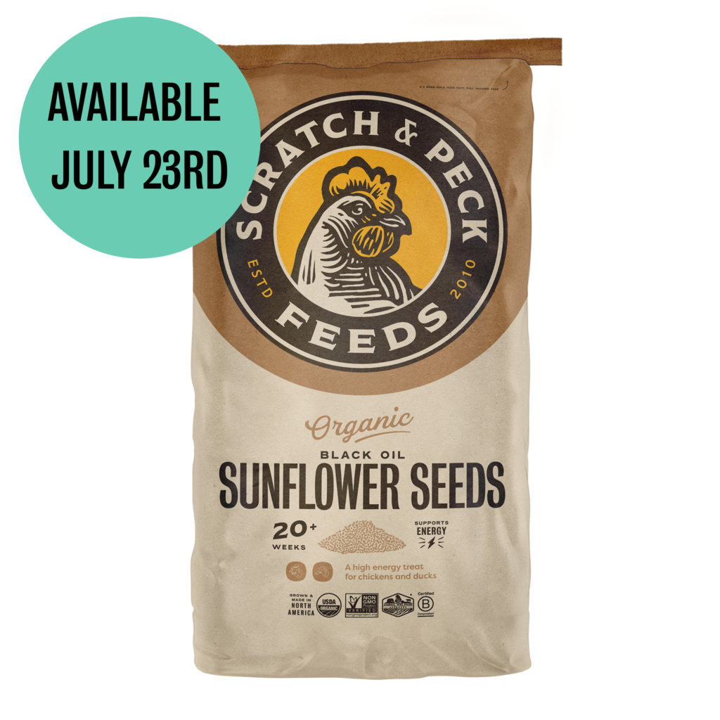 Organic Black Oil Sunflower Seeds - Image 2