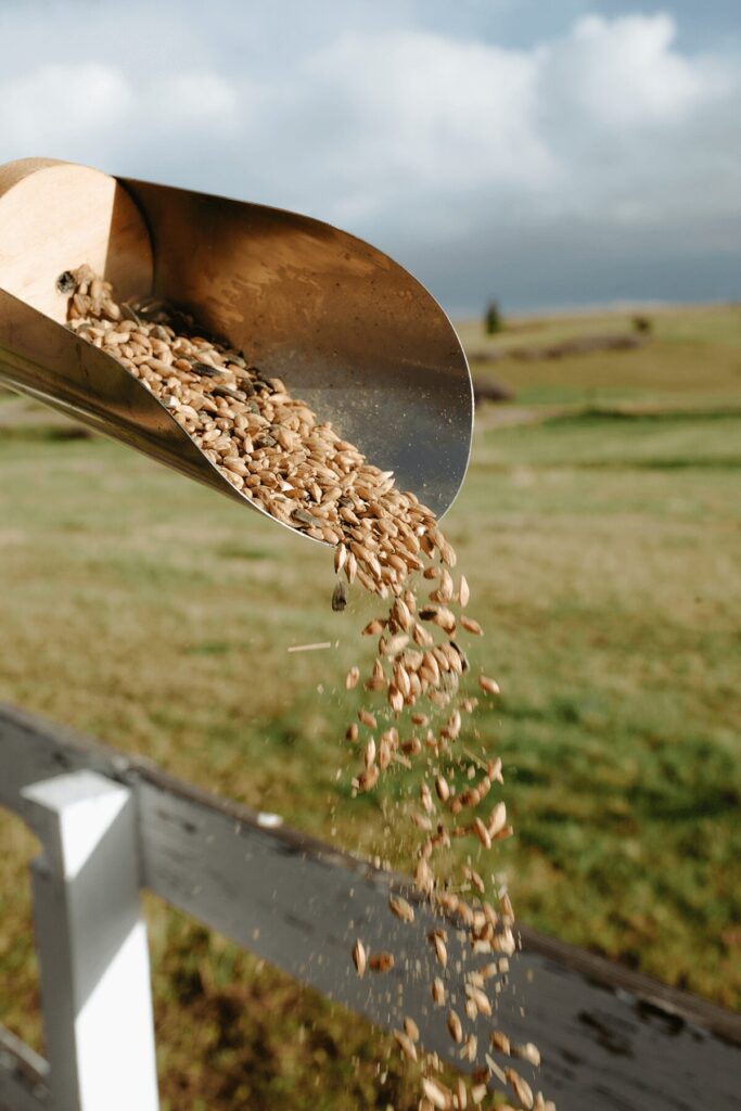 Organic Scratch + Seeds - Image 4
