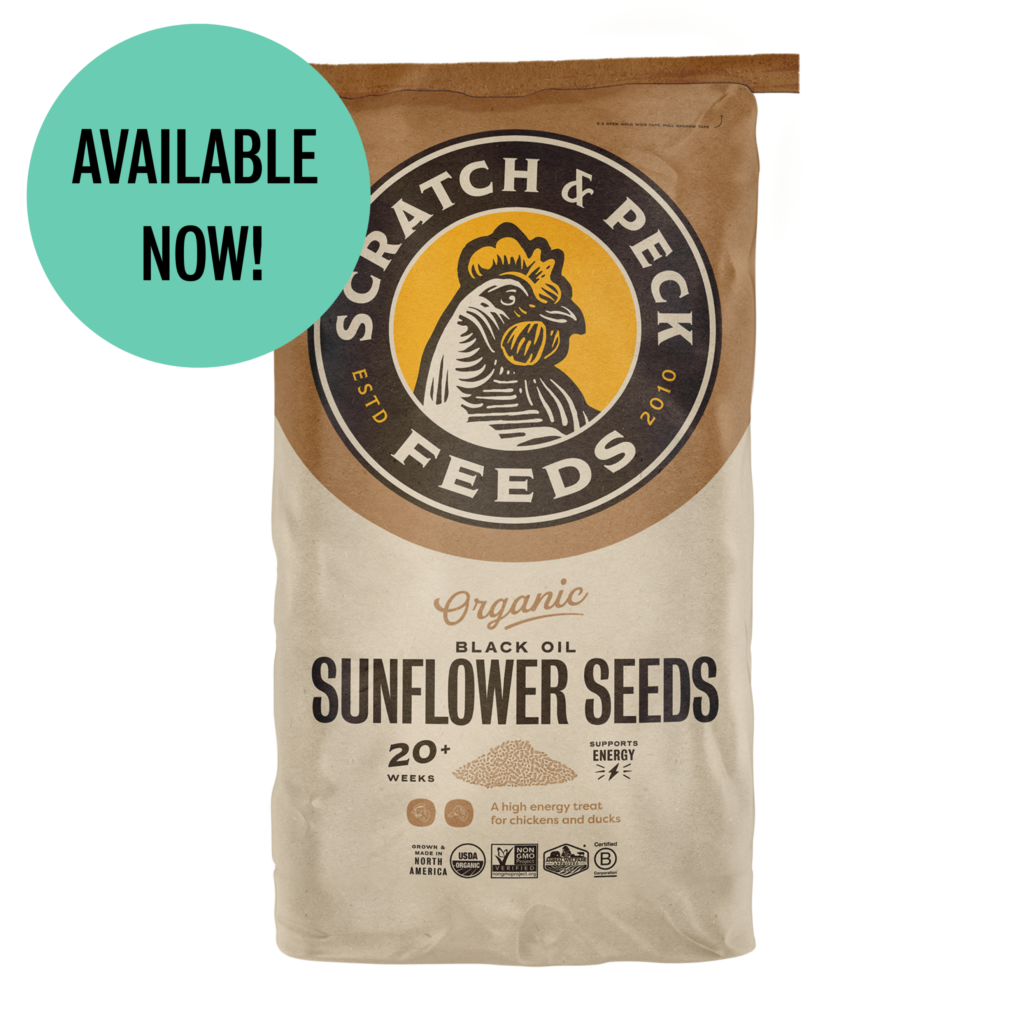 Organic Black Oil Sunflower Seeds - Image 2
