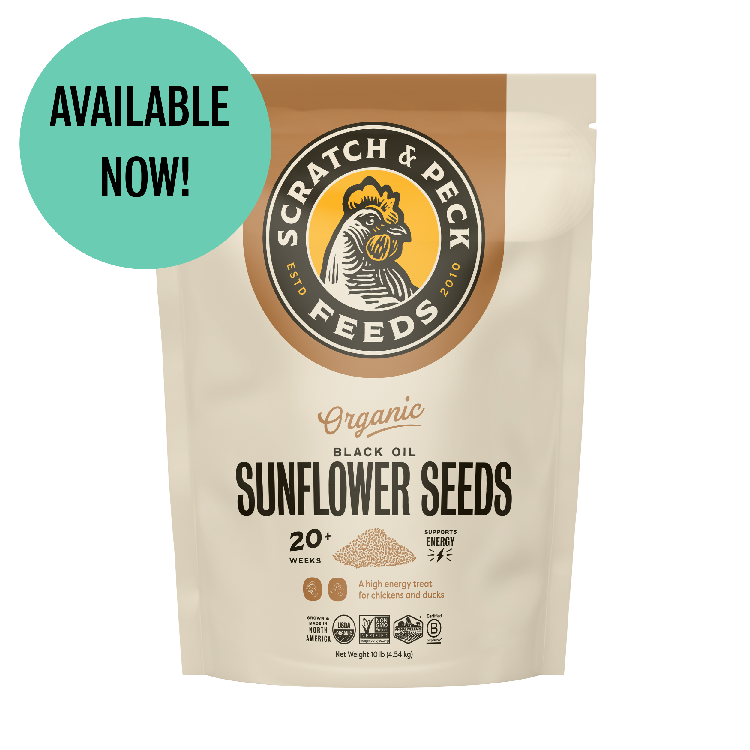 Image of Organic Black Oil Sunflower Seeds