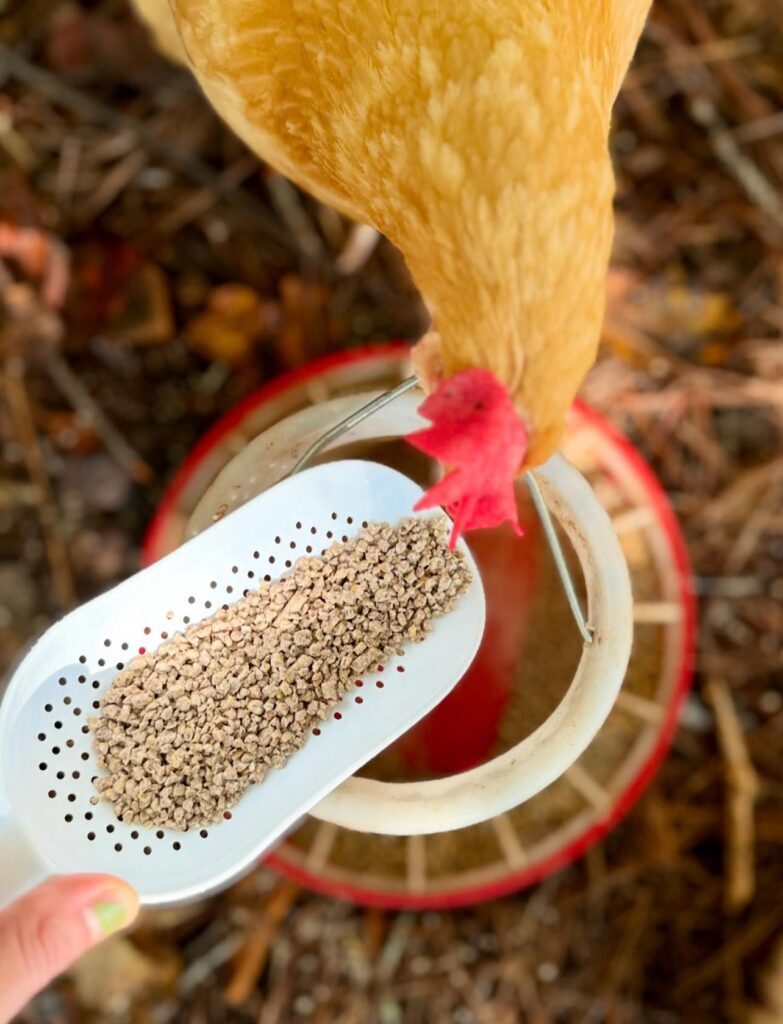 the.littlecabinthatcould instagr