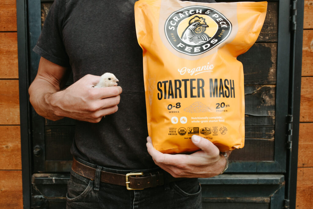 ducklingsandchicks 5032