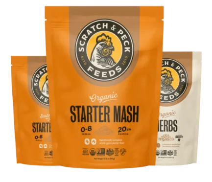 screenshot 2026 03 05 at 12 46 07 pm 3 1