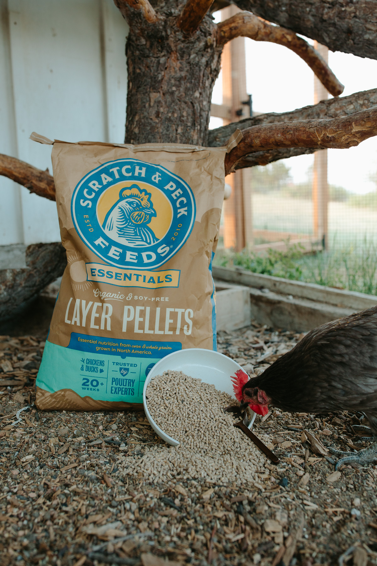 Essentials Organic Layer Pellet 16% - Scratch & Peck Feeds Essentials Organic Layer Pellet 16% - Image 3