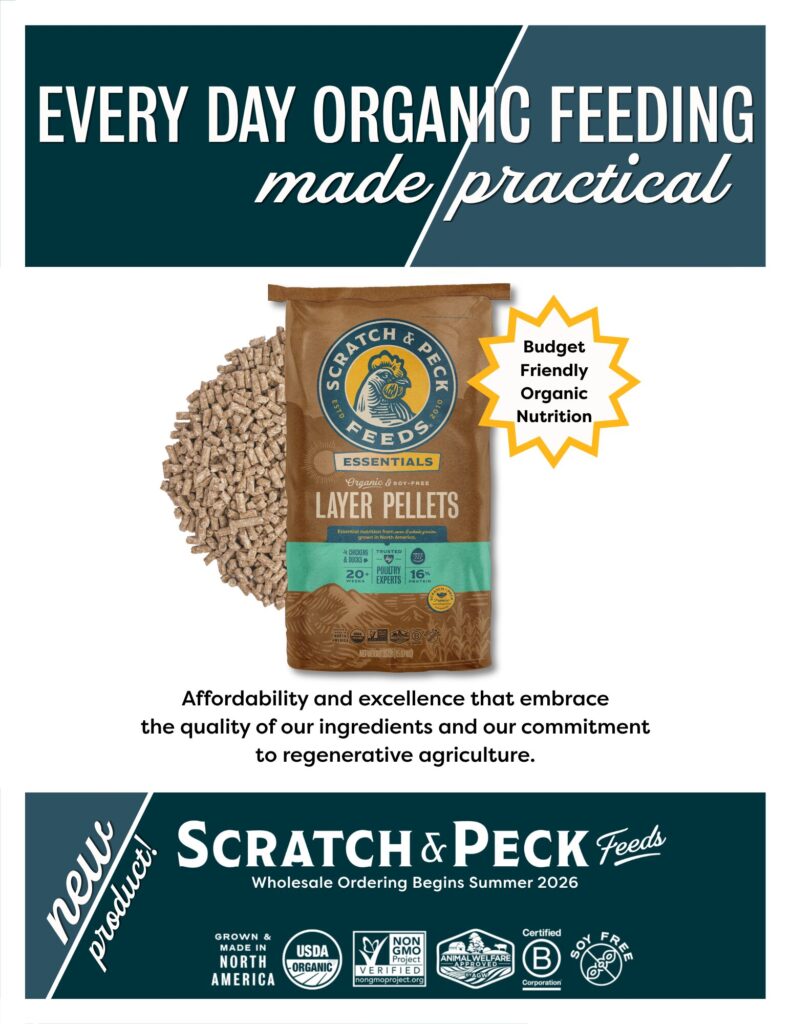 Essentials Layer Pellets + Corn from Scratch and Peck Feeds is a budget-friendly organic feed for chickens and ducks.